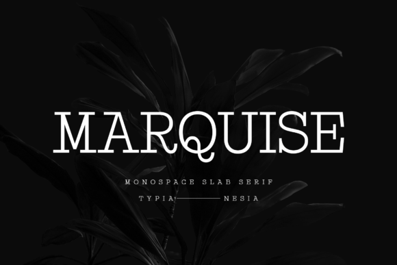 Marquise Font for Modern Web Design